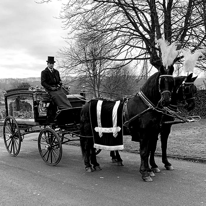 black horses funeral carriage Hemel Hempstead and Berkhamsted