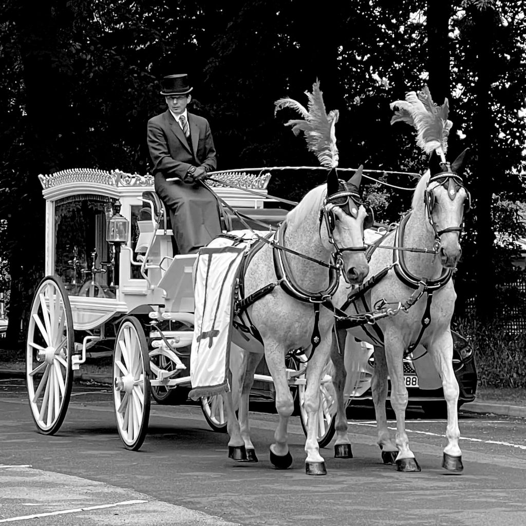 horsedrawn funeral kilburn and Hemel Hempstead