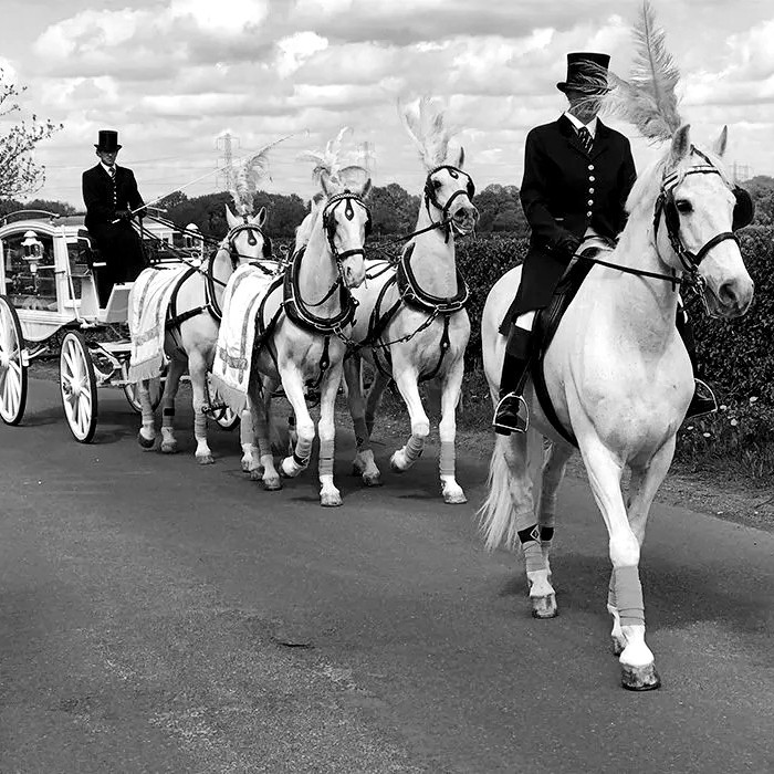 set of 4 horsedrawn funeral procession north london